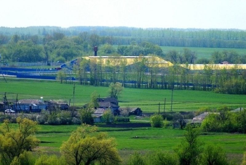 Фотографии.